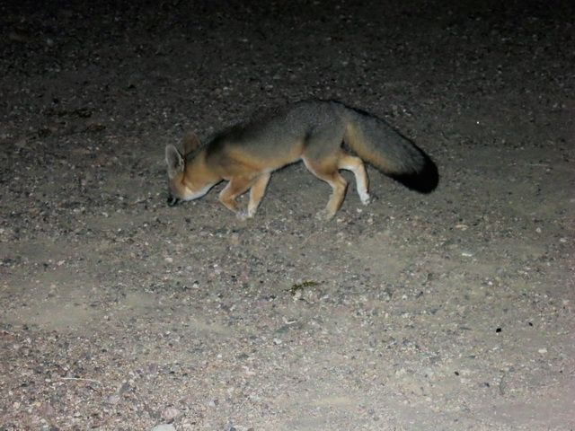 IMG_3222.jpg
