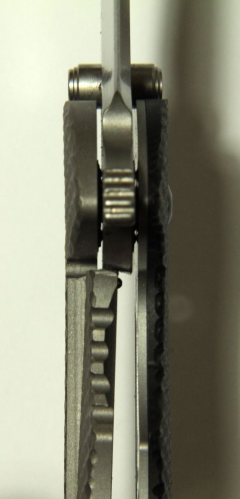 zt05601.jpg