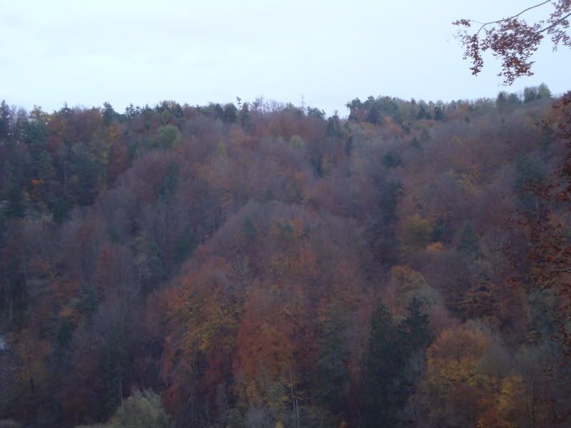DSC01056.jpg