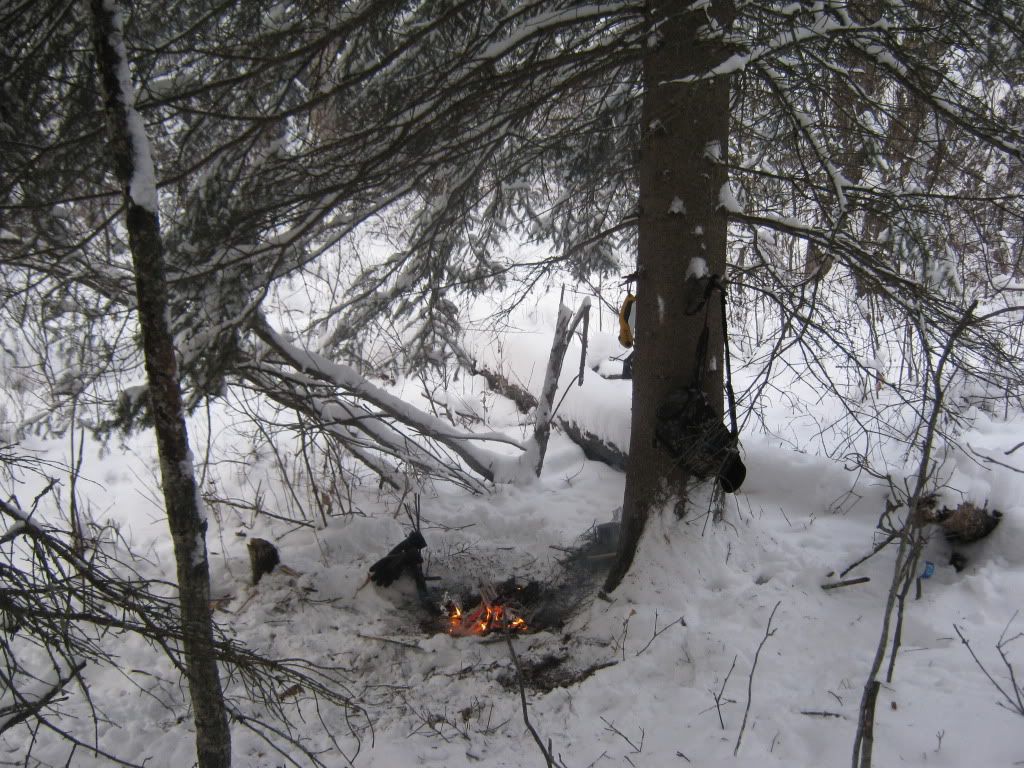 decemberbushcraft025.jpg