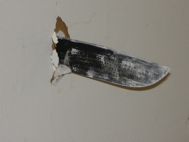 Picture3105.jpg