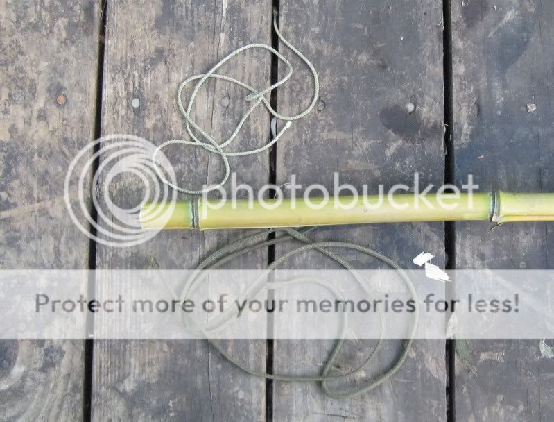 BambooProject-4.jpg