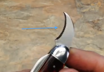 EricksonSerration_zpsce25b260.png