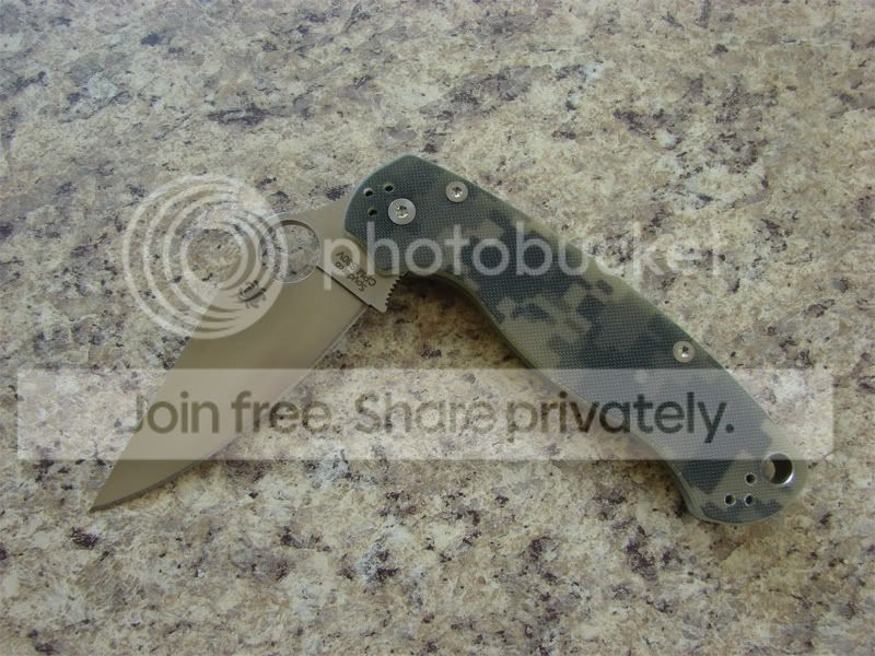 P2_camo_3.jpg