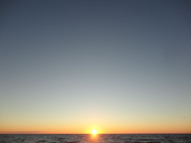 DSC09798_zpsc71d1830.jpg