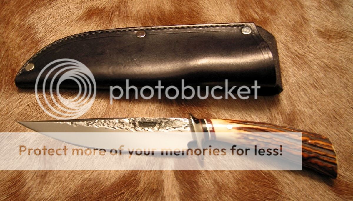 BehringT-B_zpskf5pny7c.jpg~original