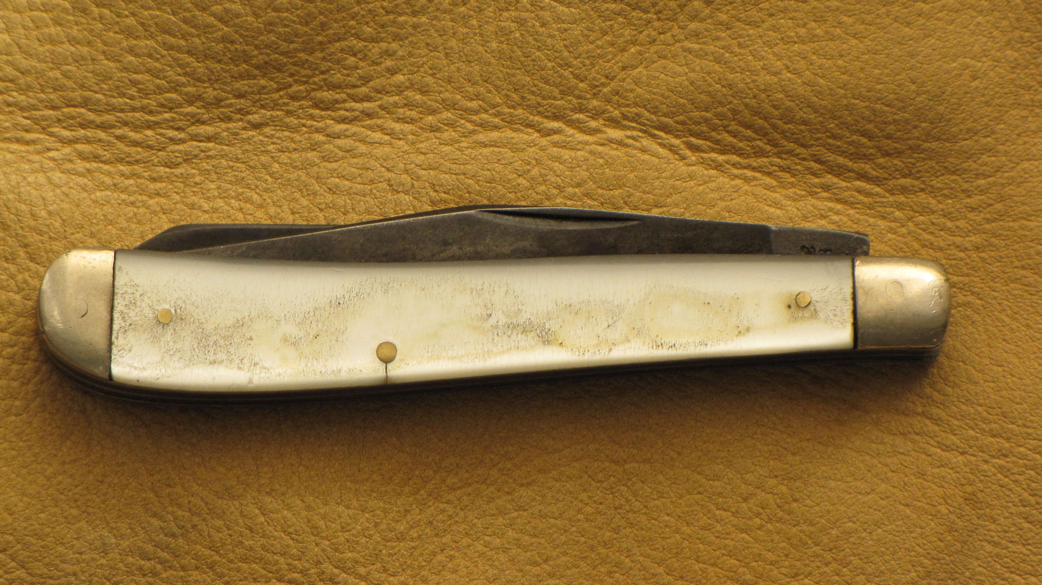 img0739x.jpg