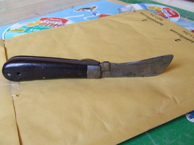 DSCF1399.jpg