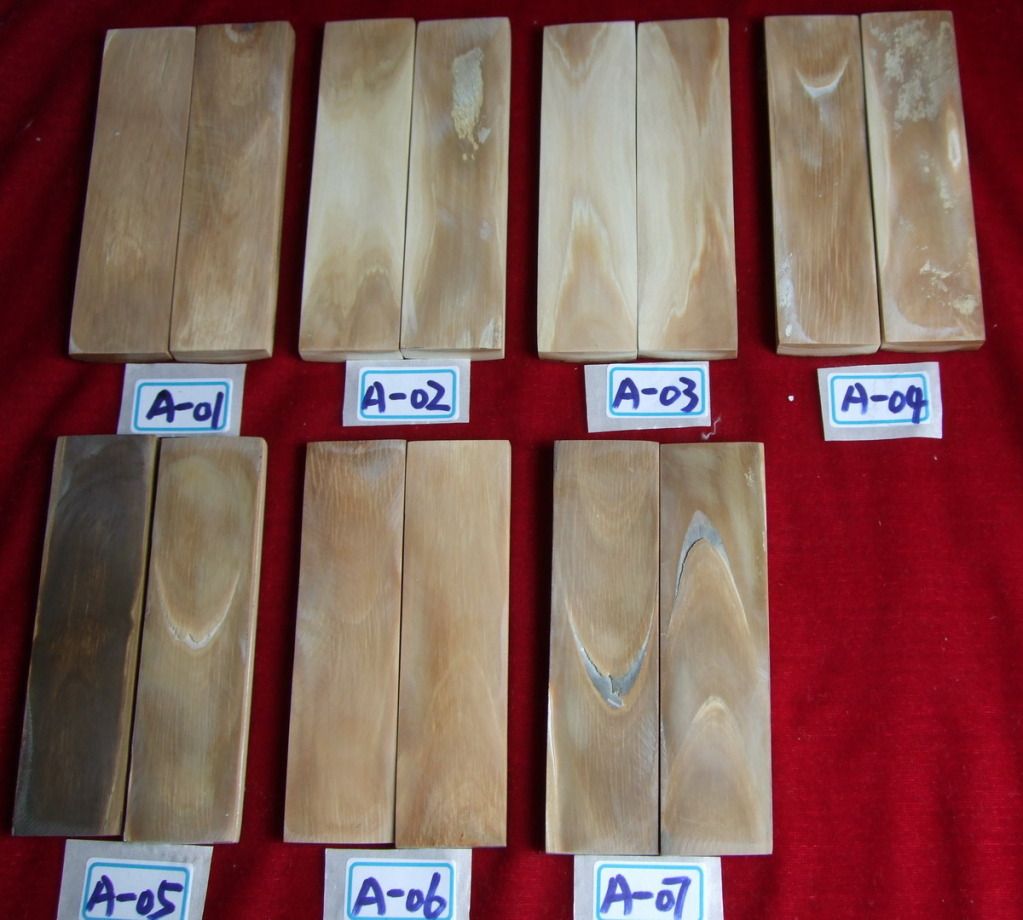 DSCF1732.jpg