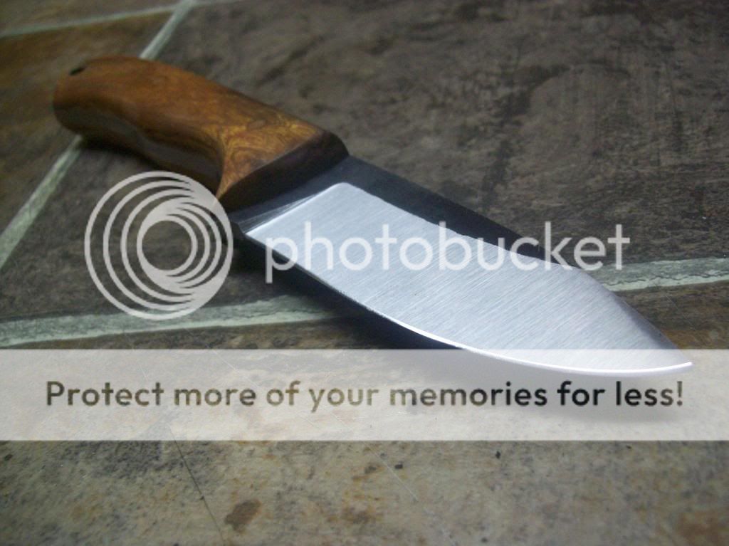 100_8911_zpse65974d4.jpg