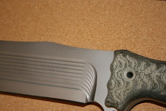 busse009.jpg