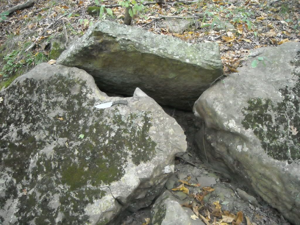 DSCN1209.jpg