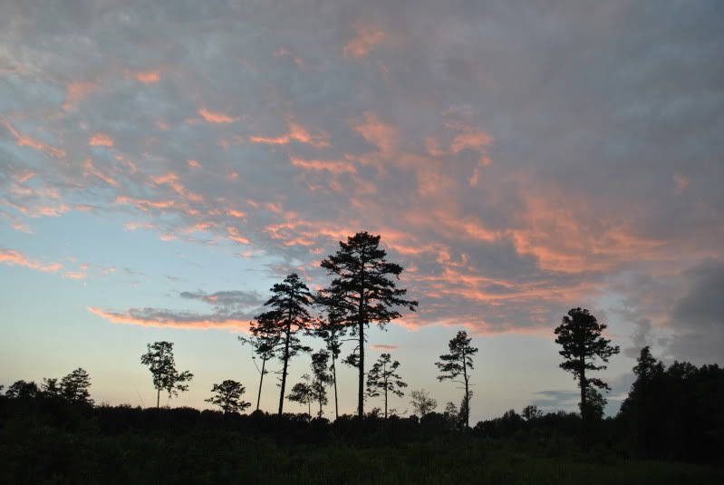 DSC_3169.jpg