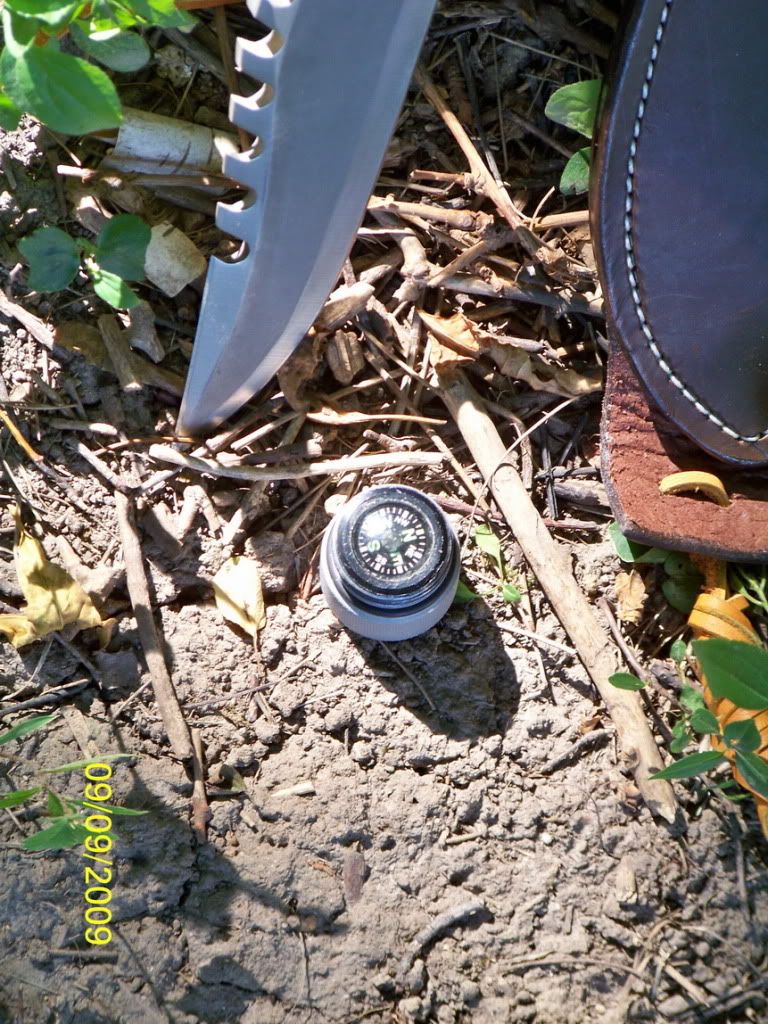 100_4384.jpg