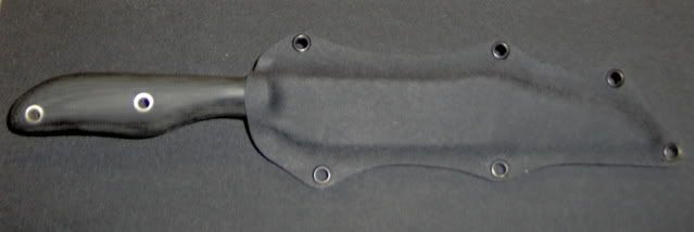 scalpel5.03.jpg