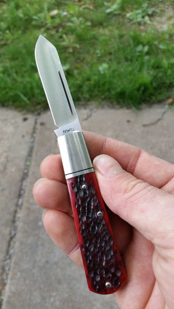 20170530_142420_zpsvqgzrzou.jpg