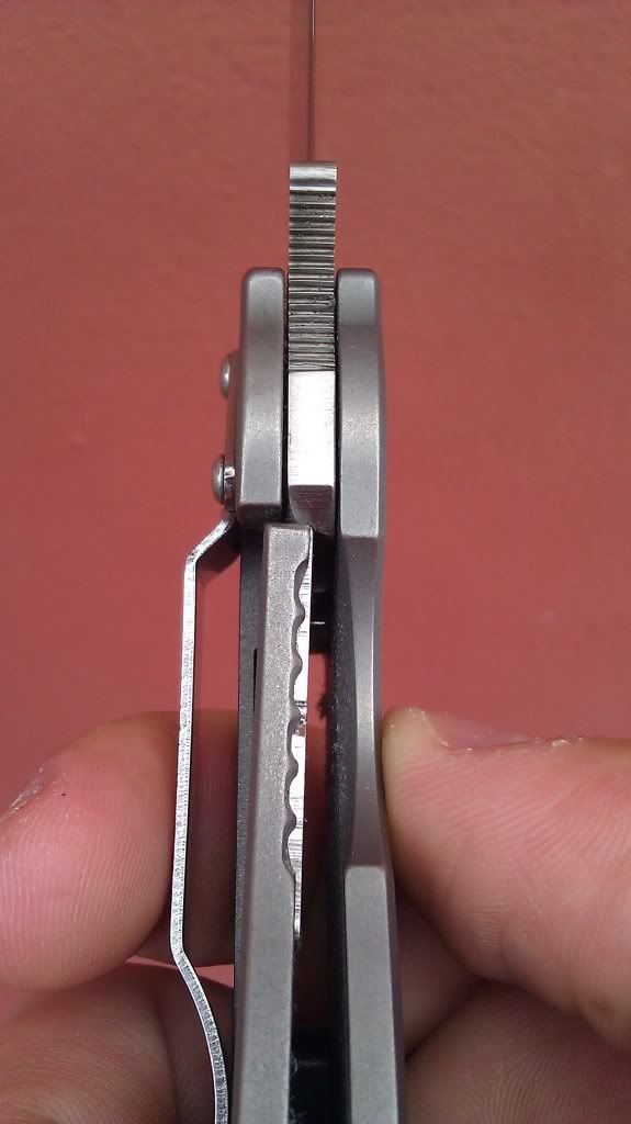 IMAG0563.jpg