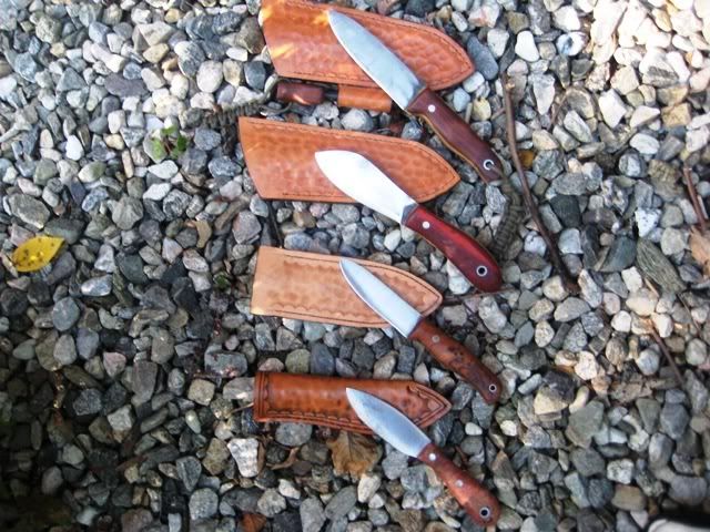 FiddleBacks001.jpg