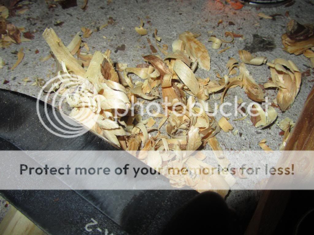 IMG_1296_zps1da25975.jpg