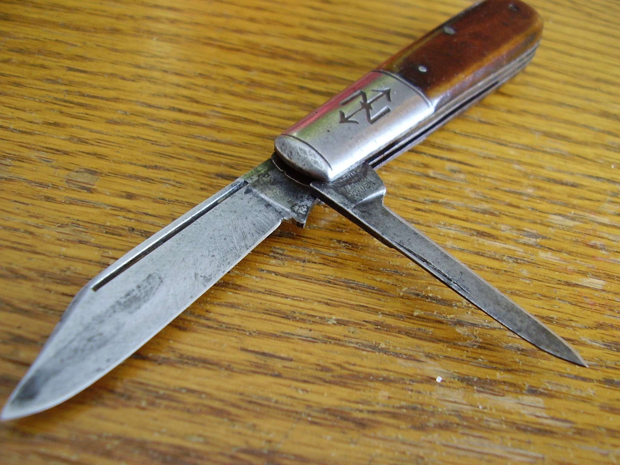 p2260010y.jpg