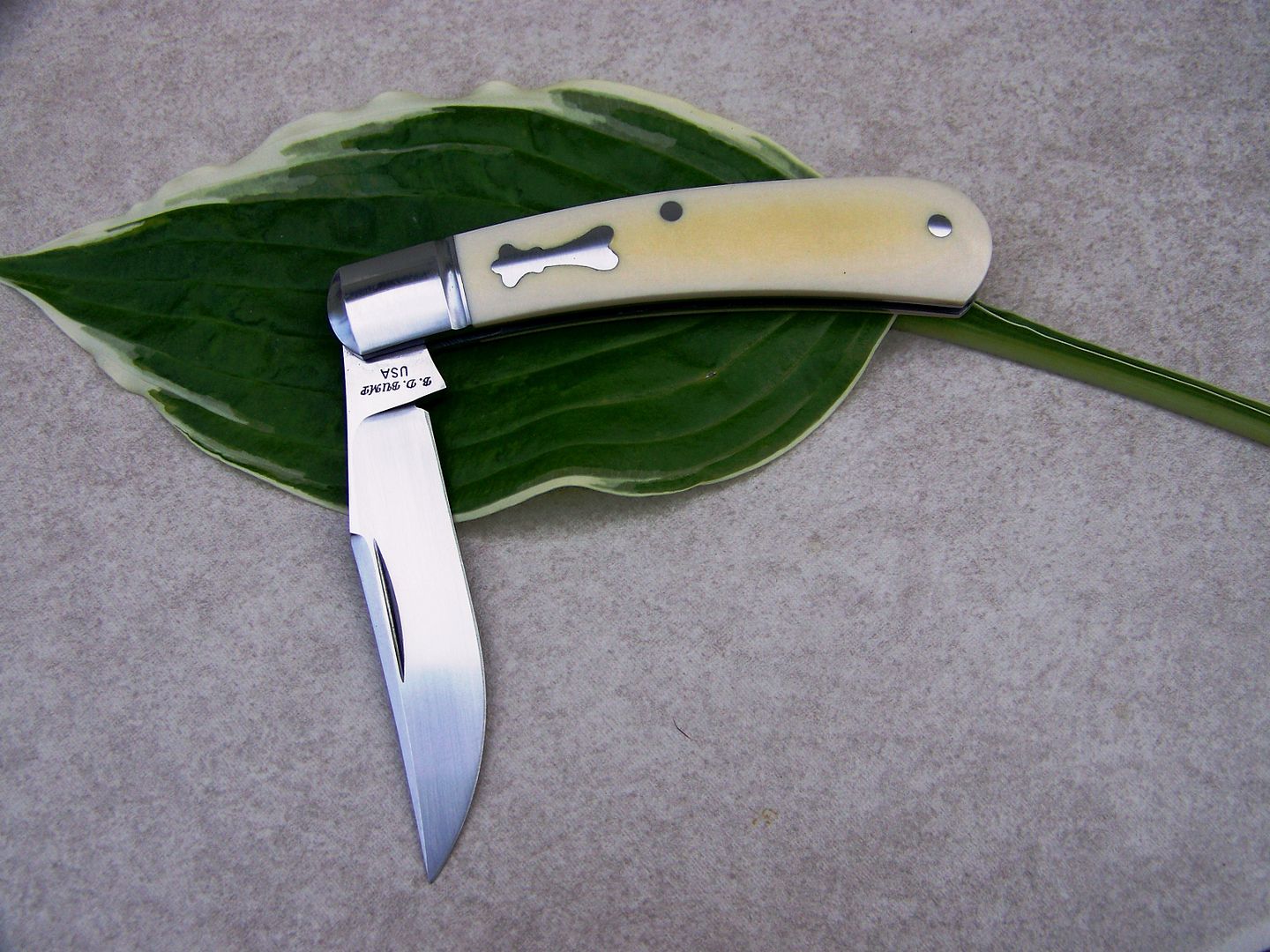 slippie28004.jpg