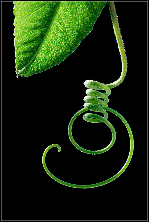 275041175_a356fec7c0_b.jpg
