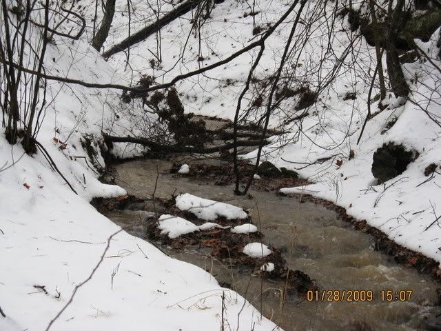snowdayforthepets035.jpg