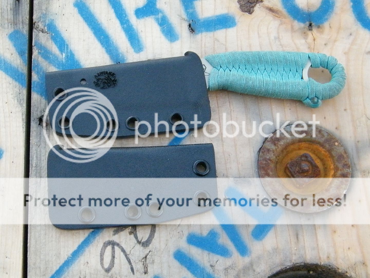 DSCF8281.jpg