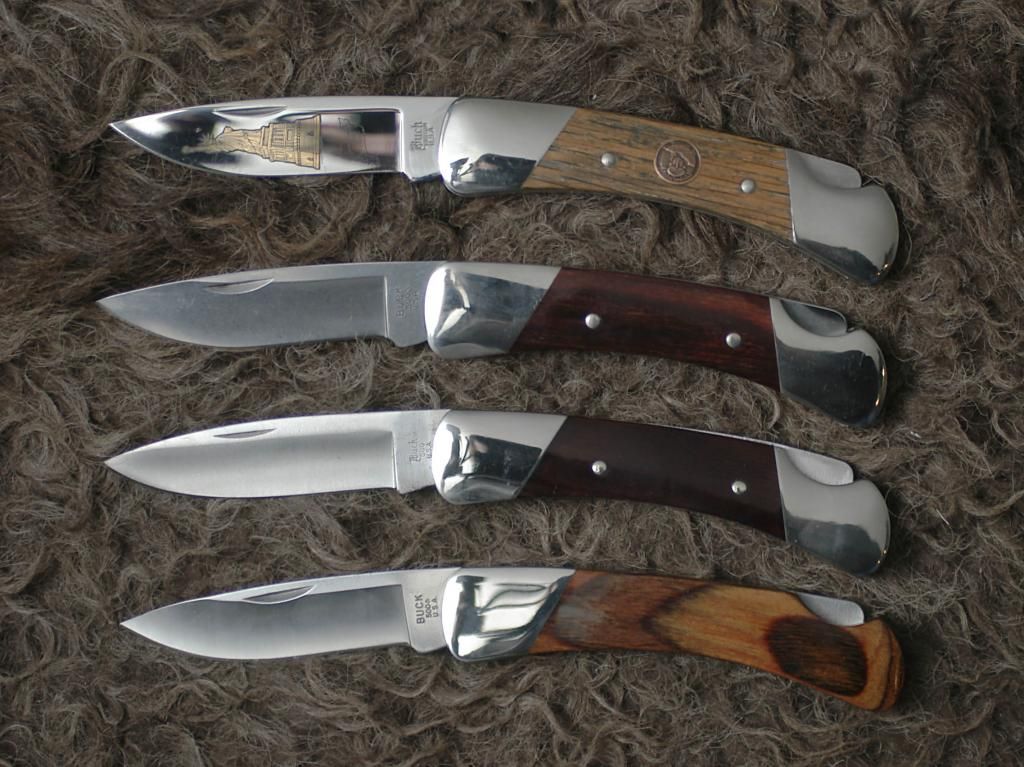 Buck500vier_zps9d8cfc8e.jpg