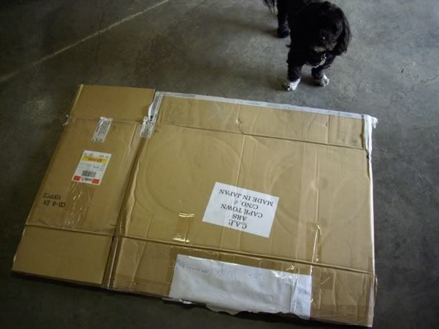 Cardboardcutting12.jpg
