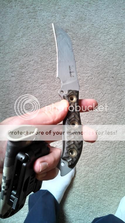 BGScrofa_zps39aab9db.jpg