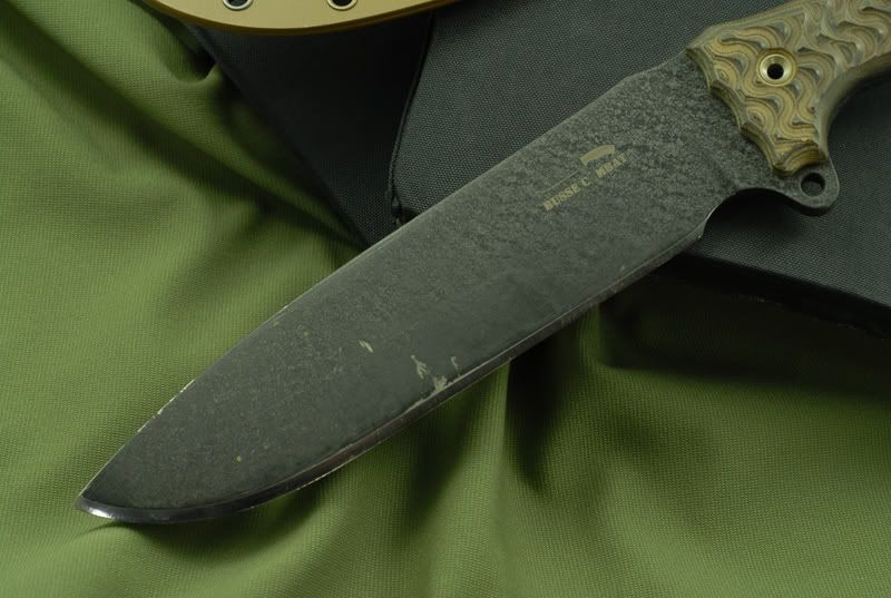 1-FSH.jpg