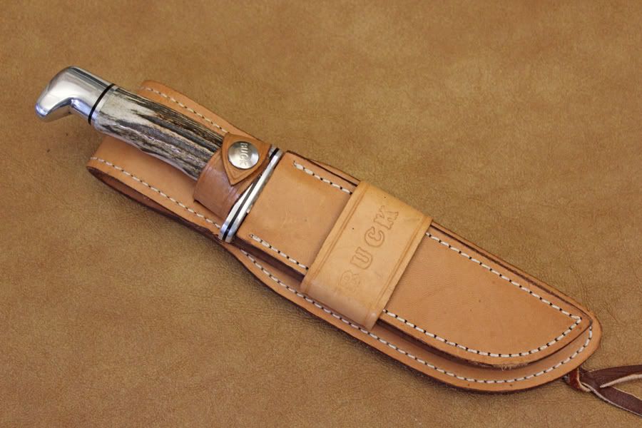 Stag119c.jpg