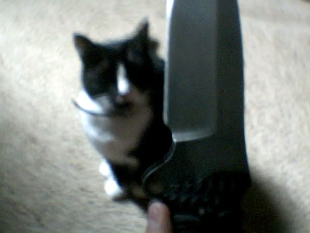 knife001.jpg