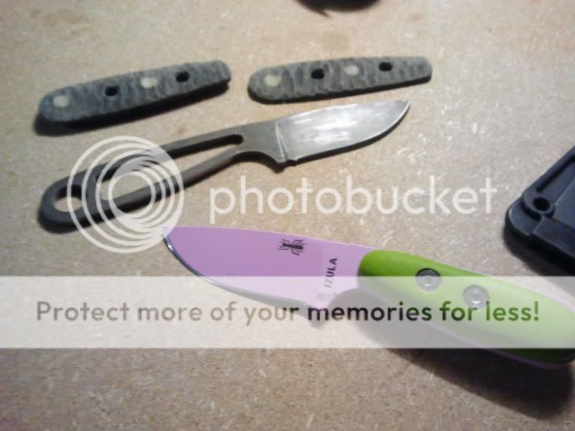 2011-12-17225205.jpg