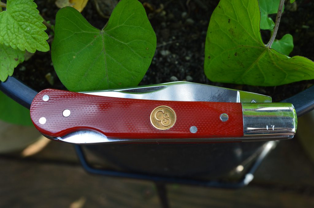 Zt7YdISh.jpg