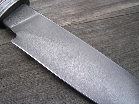Foto-B4Q7YMN3.jpg