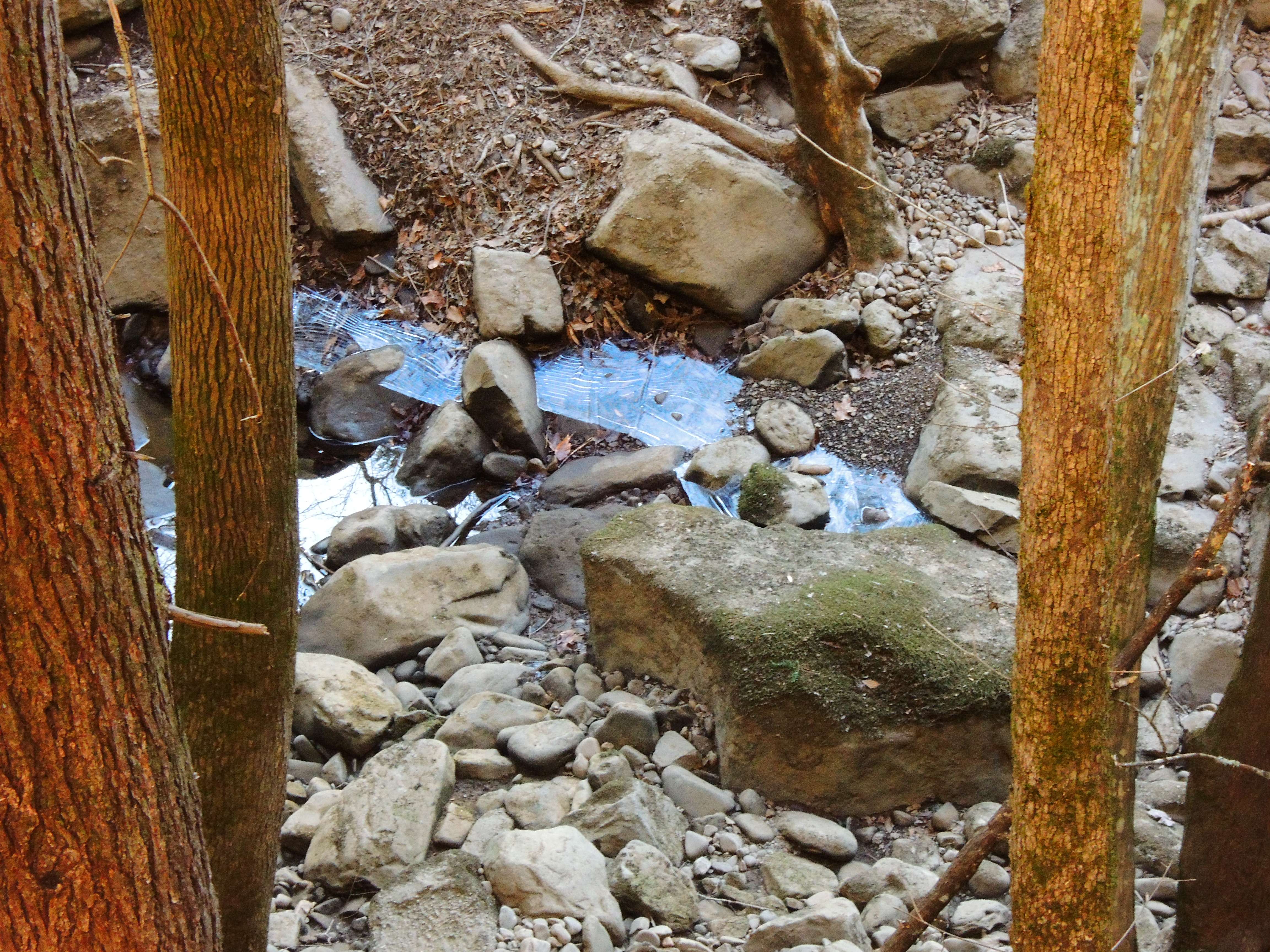 dscn6755.jpg