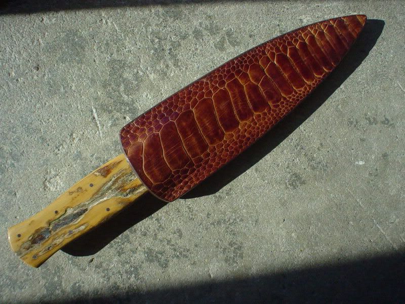 DSC01073.jpg