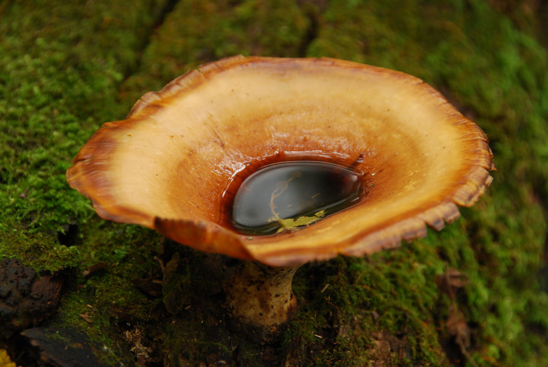 1028997894_CfJni-L.jpg