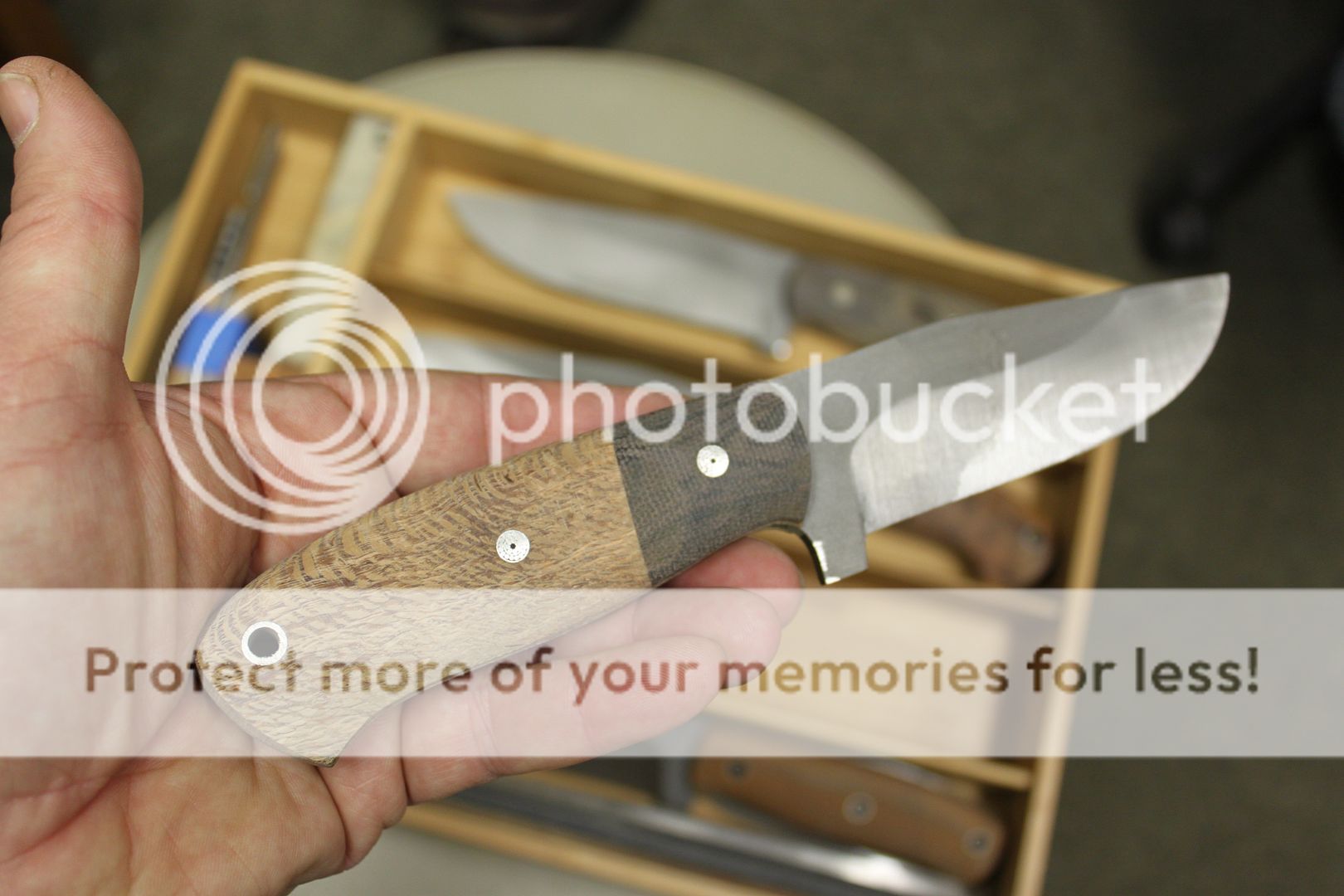 24dbf9fb-15cb-4432-a0cb-cba6438140c7.jpg
