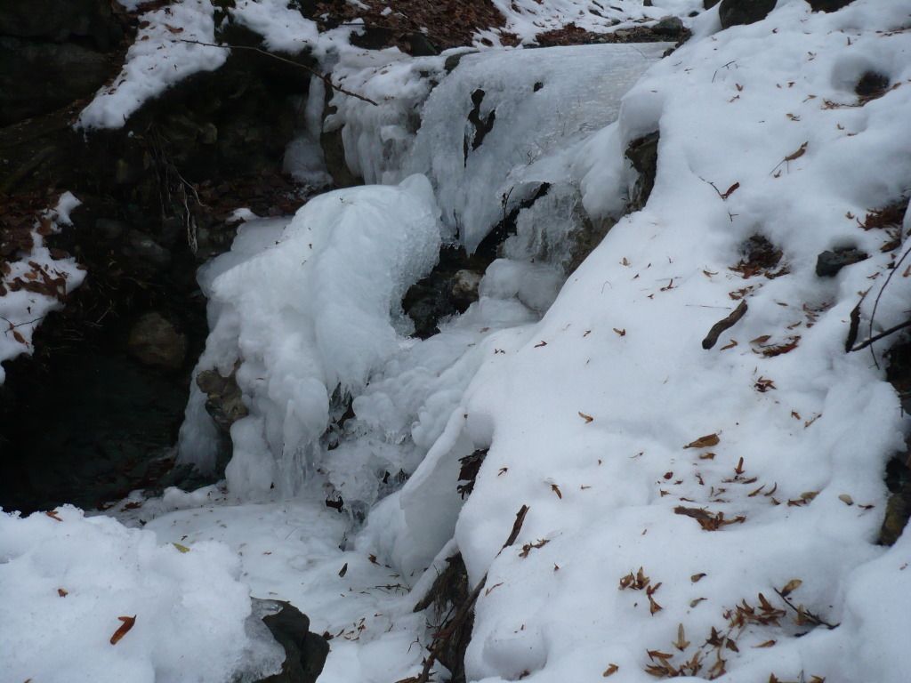 P1050628.jpg
