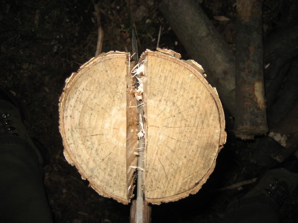 Picture020-4.jpg