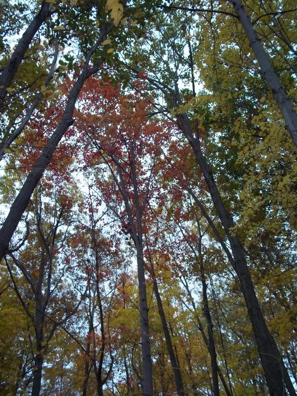 100_1444.jpg