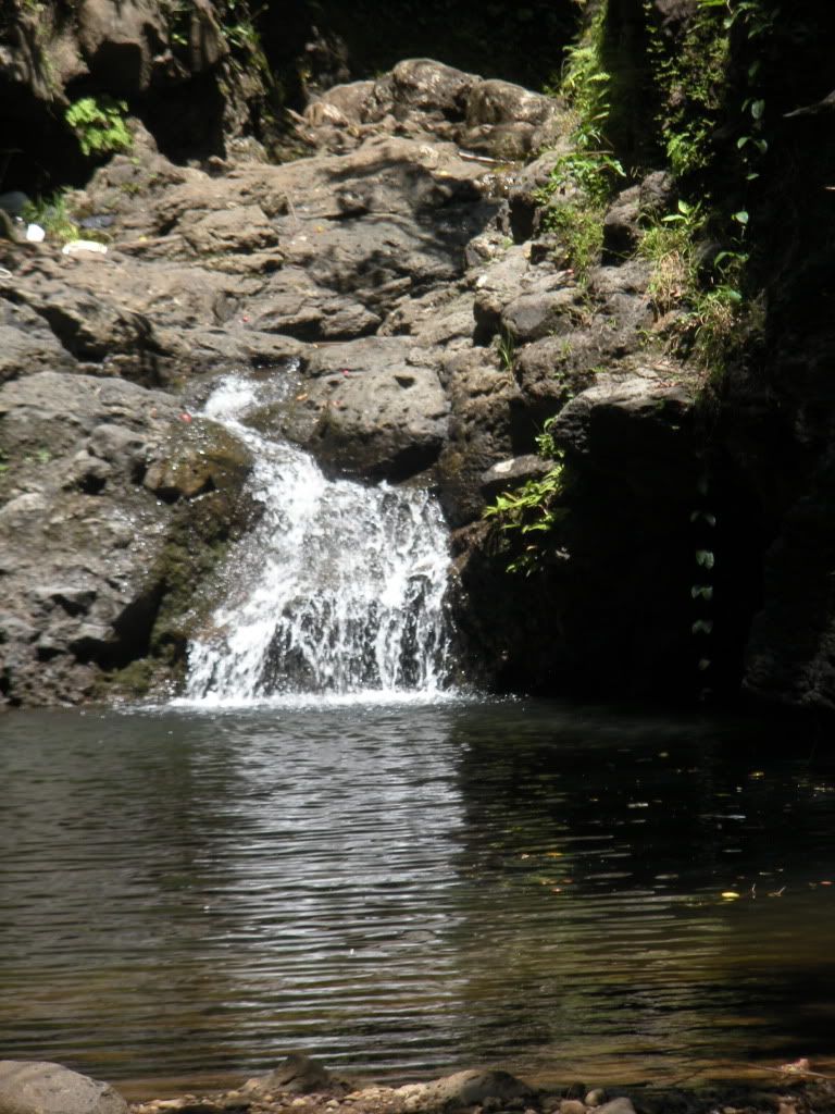 DSCN0696-1.jpg