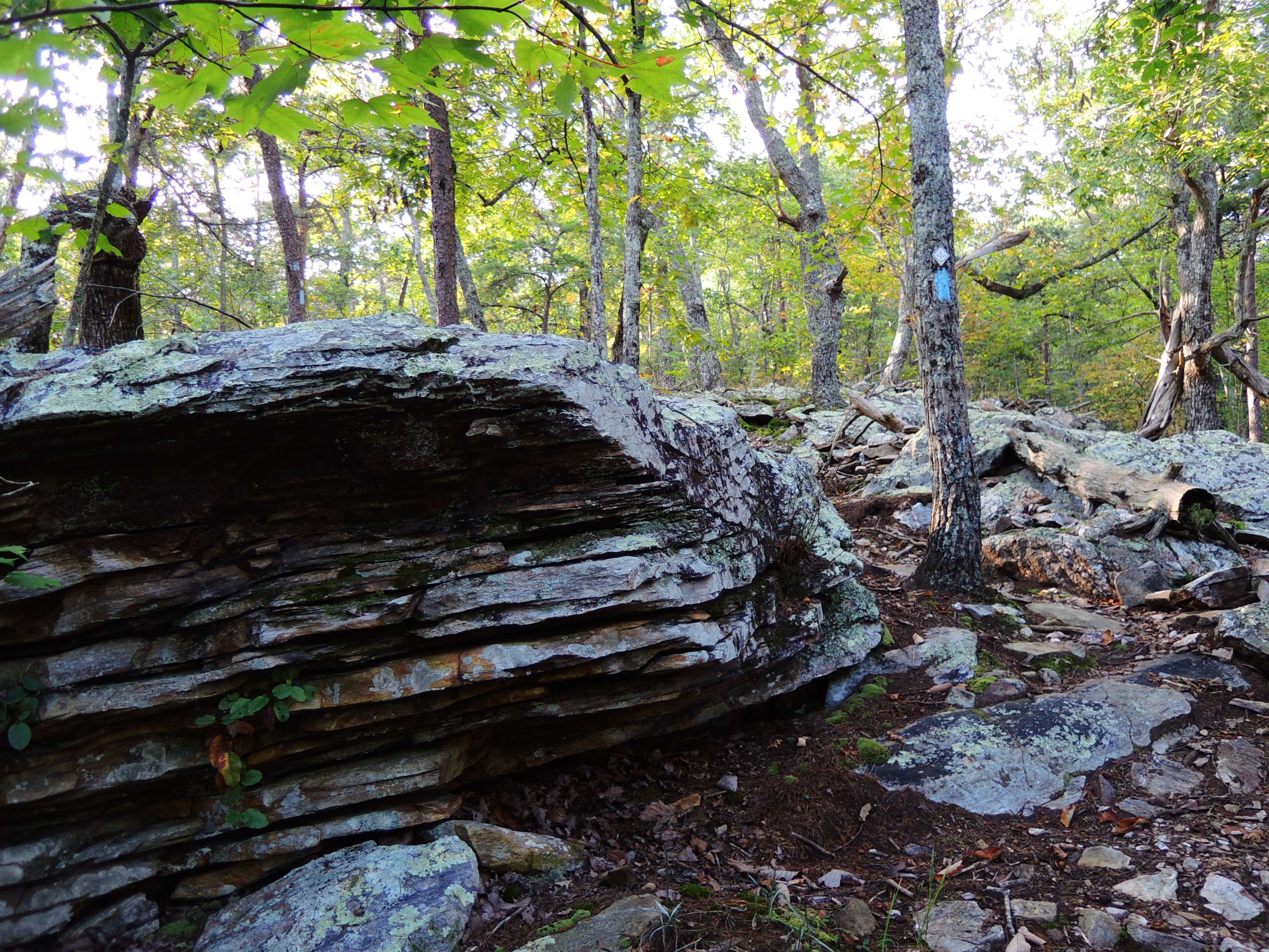 dscn2518m.jpg