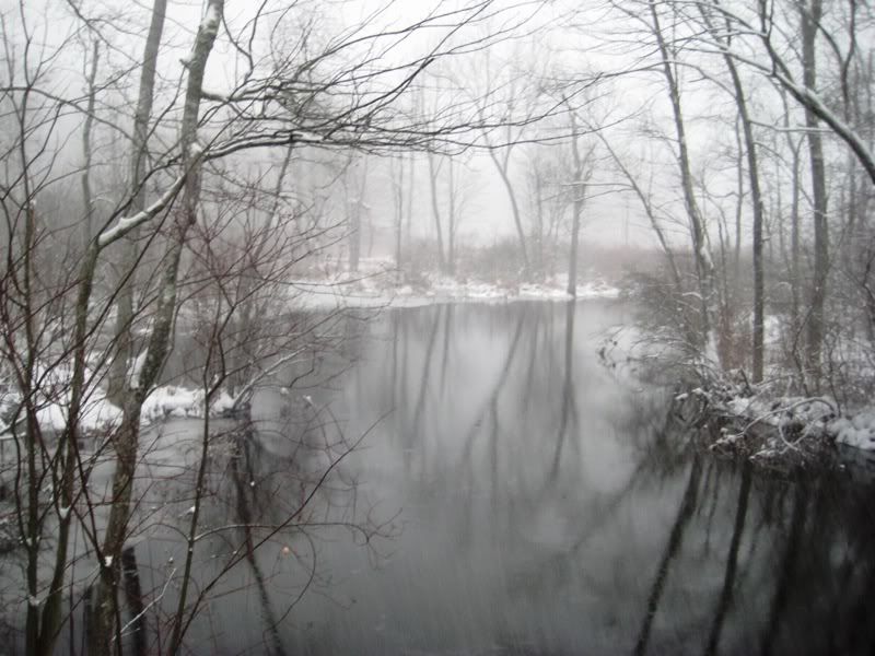 snow035.jpg