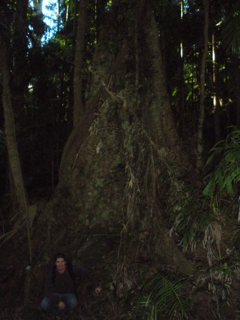 DSCN2536.jpg