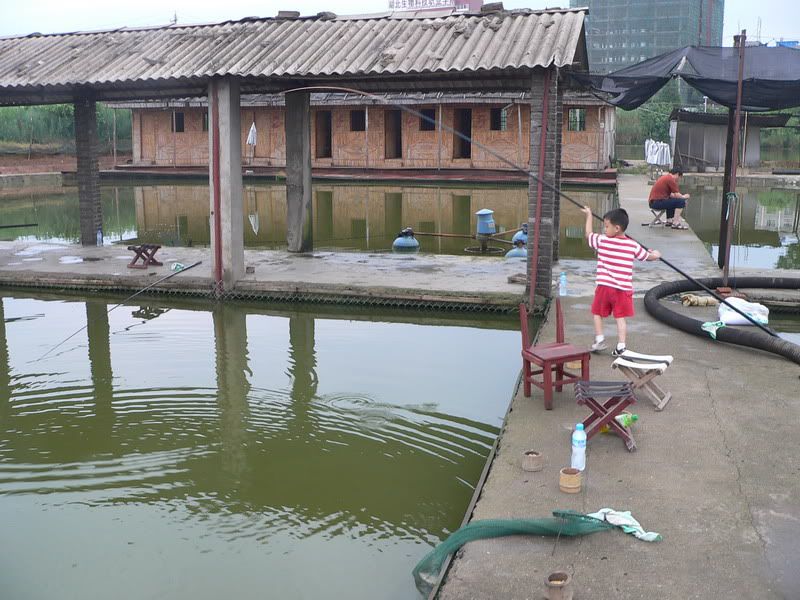 P1410416.jpg