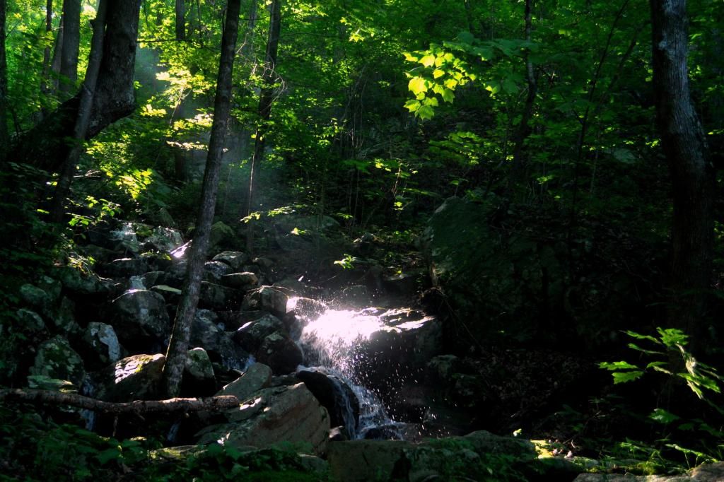 DSC_1512.jpg